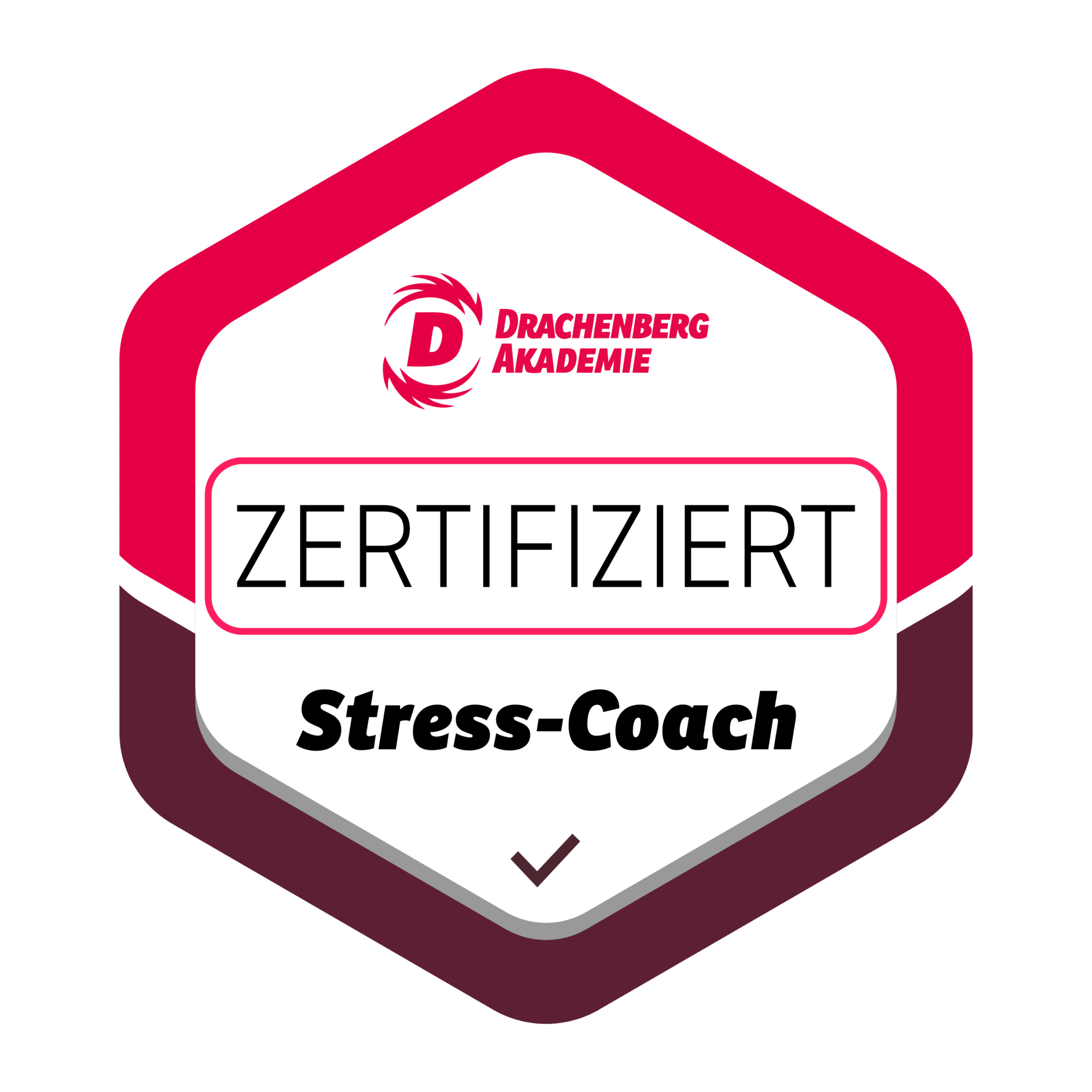 zertifikat stress coach